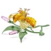 Florere Lily Μεγάλο Florere Lily Μεγάλο