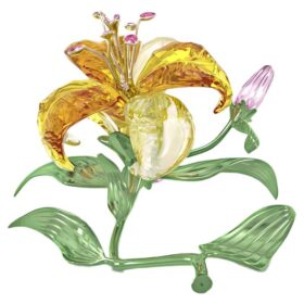 Florere Lily Μεγάλο