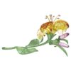 Florere Lily Μεγάλο Florere Lily Μεγάλο
