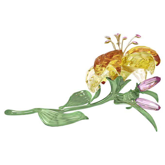 Florere Lily Μεγάλο Florere Lily Μεγάλο