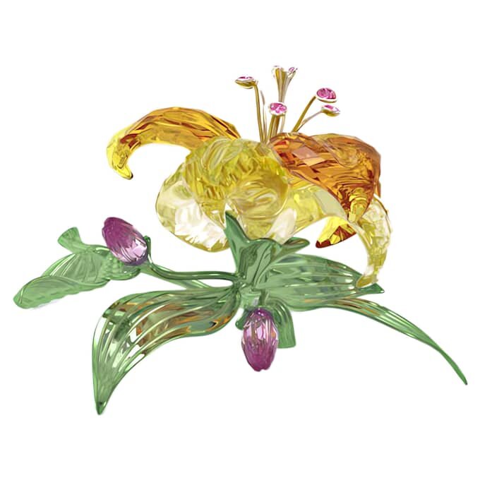 Florere Lily Μεγάλο Florere Lily Μεγάλο