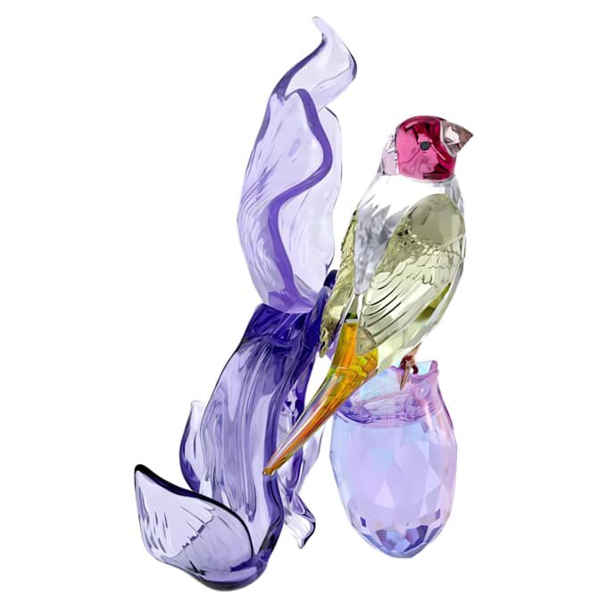 Idyllia Gouldian Finch και Ορχιδέα Idyllia Gouldian Finch και Ορχιδέα