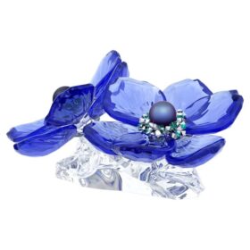Idyllia SCS Άνεμος Coronaria