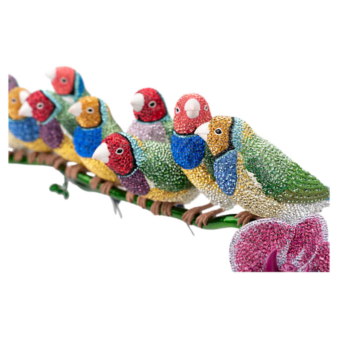 Κρυστάλλινα πουλιά Gouldian Finches Κρυστάλλινα πουλιά Gouldian Finches