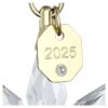 Σετ διακοσμητικών 3D Ετήσιας Έκδοσης 2025 Σετ διακοσμητικών 3D Ετήσιας Έκδοσης 2025